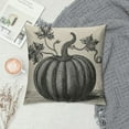 thumbnail image 2 of Nawypu Vintage Farmhouse Fall Throw Pillow Covers Blue Stripe Autumn Thanksgiving Leave Hello Pumpkin Home Decor Throw Pillow Case Cushion Cover, 2 of 5