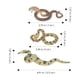 thumbnail image 4 of KAKOWELY 3 piezas de modelo de serpiente simulada, accesorios de serpiente realistas, modelos de serpiente pequeños realistas, 4 of 5