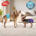 thumbnail image 2 of Pañales para Perros Simple Solution Lavables para Machos Talla Grande (11242), 2 of 7