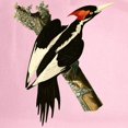 thumbnail image 2 of CafePress - Ivory Billed Woodpecker Cap - Adjustable 100% Brushed Unisex Casual Cotton Baseball Cap, Beige, 1, 2 of 2