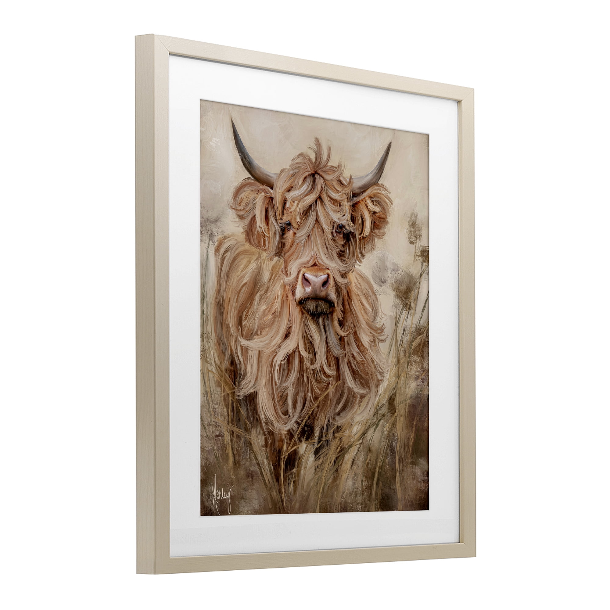 Curly Haired Highland Cattle Birch Framed Print Under Glass, design by Ashley Bradley