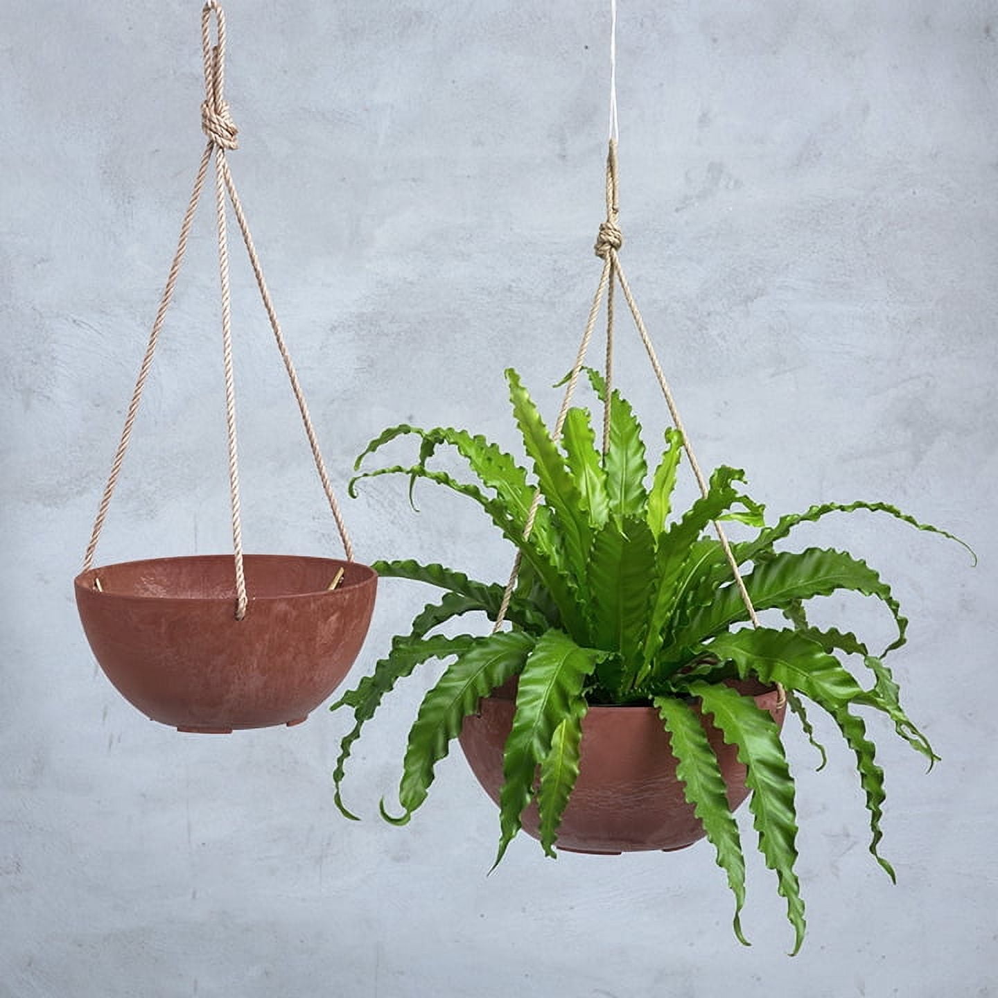 Root & Vessel Napa Hanging Bowl Planter, Rust, 12"
