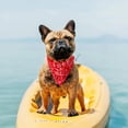 thumbnail image 4 of Ropa/accesorios para mascotas Pañuelos para perros Zhivalor 220528-1, 4 of 4