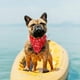thumbnail image 4 of Ropa/accesorios para mascotas Pañuelos para perros Zhivalor 220528-1, 4 of 4