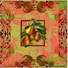 Trademark Fine Art "nouveau Grapes V" Ca