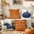 thumbnail image 2 of Blue Pumpkin Pillow Covers 16x16 Inch Set of 4 Hello Pumpkin Indoor Outdoor Decorative Throw Pillow Cover Farmhouse Autumn Pillow Case Thanksgiving Harvest Bedroom Sofa Cushion Couch Decor, 2 of 6