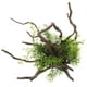 thumbnail image 1 of Planta de acuario, decoración de pecera, planta Artificial, ramita de árbol, adorno de paisaje para acuario, 1 of 5