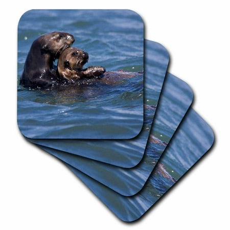 

3dRose California Sea Otter Moss Landing California - US05 JGS0199 - Jim Goldstein Soft Coasters set of 4