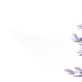 thumbnail image 5 of Ryvnso Placemats Set of 4 Egg Lavender Flowers Dining Mats Heat-Resistant Non-Slip Washable Table Mat, 5 of 8