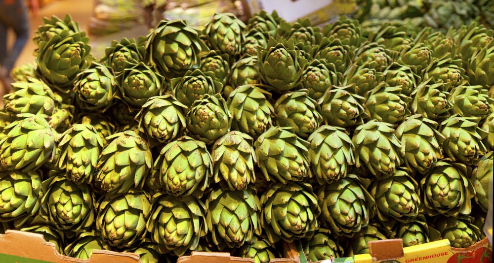 Artichokes at farm stand, Route 34, Colts Neck Township, Monmouth