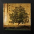 thumbnail image 2 of Pinto, Patricia 12x12 Black Modern Framed Museum Art Print Titled - Aged Tree I, 2 of 5