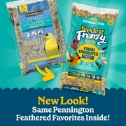Pennington Feeding Frenzy Finch Favorite, Wild Bird Seed Mix, Bird Food, 10 lb
