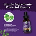 thumbnail image 4 of USDA Organic Ashwagandha Liquid Drops - Ashwagandha Root Extract for Stress and Mood Support - Delicious Pure Adaptogen Drops for Adults - Alcohol-Free Herbal Tinctures for Rest - 30 ml Bottle, 4 of 9