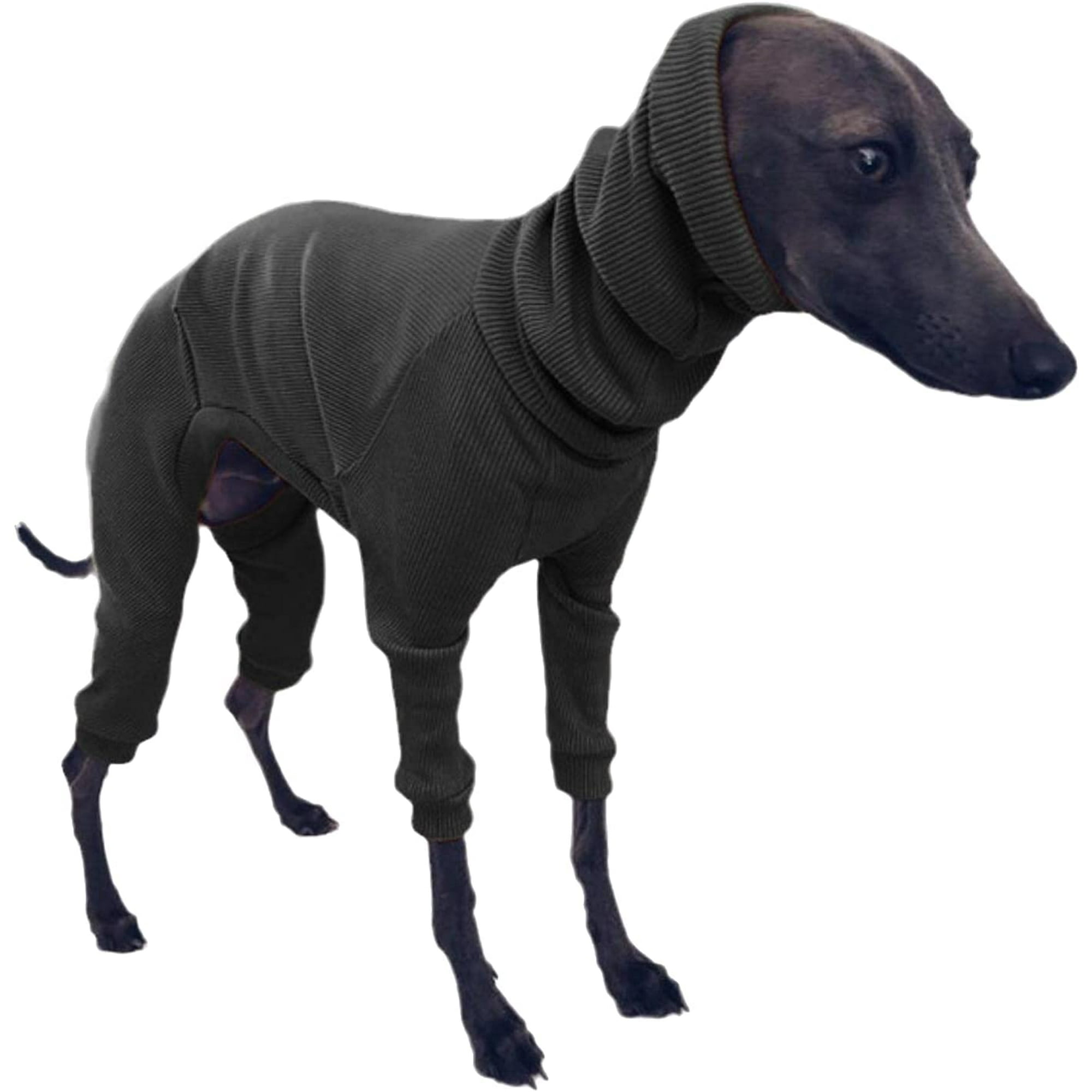 Italian greyhound pajamas hot sale