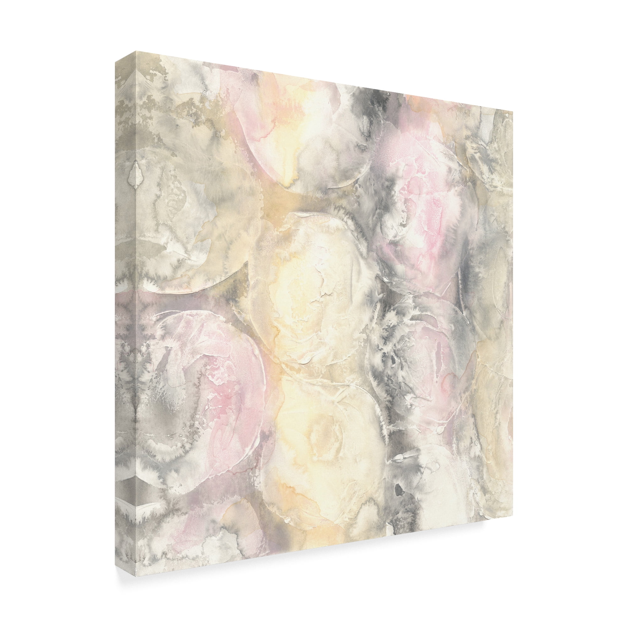 Trademark Fine Art 'Blush Circles I' Canvas Art by Chris Paschke