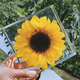 thumbnail image 4 of Flores Secas Zulema Naturales Prensadas Decoración Girasol Regalos de Navidad Artes hechas a mano de resina de girasol, 4 of 8