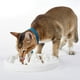 thumbnail image 3 of Comedero lento para perros de cerámica Blanco 22x4cm/8.66x1.57in, 3 of 5