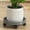 Gray, variant on Summercome Plant Caddy with Wheels, Round Rolling Plant Stand, 4 Hidden 360 ° Rotating Silent Wheel Wheels, Heavy Duty Plant Dolly for Flower Pots, Movable Plant Tray Indoor & Outdoor Use (White)