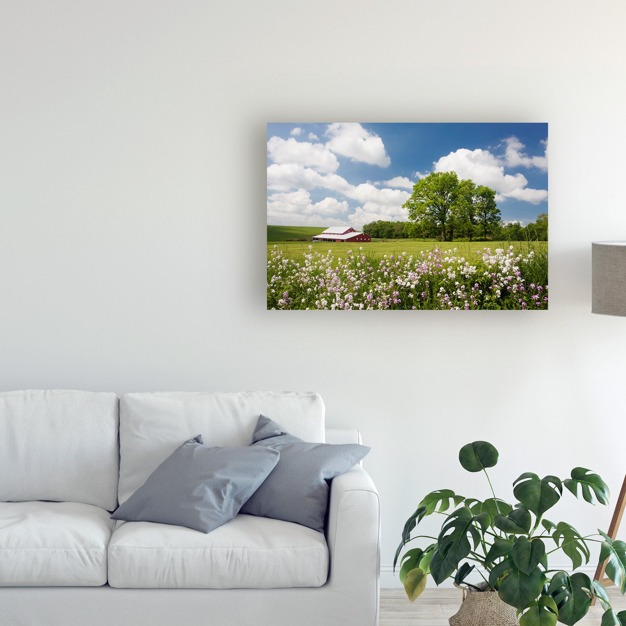 Trademark Fine Art 'Flowers And Farm Holmes County Ohio' Canvas Art by Monte Nagler