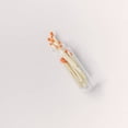 thumbnail image 3 of Orange Tip Decorative Matches, 60 Small Premium Wooden Matches | Artisan Matches for Candles, Safety Matches for Lighting Candles with Match Striker On The Bottle | Perfect Candle Accessories, 3 of 4