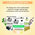 thumbnail image 2 of Body Prescriptions Exfoliante corporal para hombres, paquete de 4 exfoliantes definitivos con infusión de gel de baño para hombres de madera de cedro en frasco con tapa giratoria, 28.2 oz cada uno par, 2 of 3