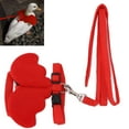 thumbnail image 3 of M Buder Correa de Arnés Ajustable para Pato Gallina Ganso Rojo S (21 cm / 8.26 inches), 3 of 9