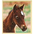 thumbnail image 1 of Diamond - Magnetic Bookmark, 1 of 3