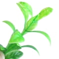 thumbnail image 4 of Aquarium Fish Tank Simulated Multicolor Plastic Plants Decoration 6 Pcs, 4 of 4