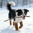 thumbnail image 1 of Oliegs Boxbollen Breathable Leg Warmers With Elbow Protectors Wear Small Socks For Walking, 1 of 5