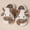 Coffee, variant on Cartoon Cow Cotton Slippers, Winter Indoor Outdoor Slippers for Women