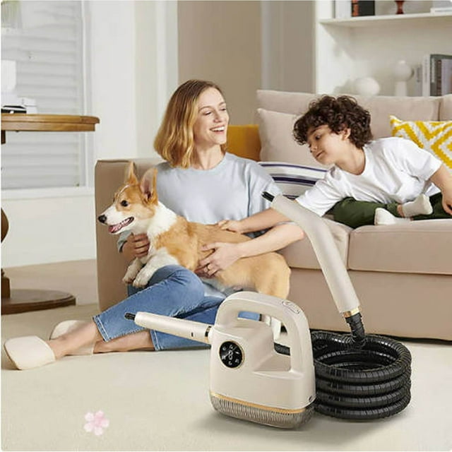BotaniNest Portable High Temperature Steam Cleaning For Deep And Quick Drying Handheld Steamer For Home And