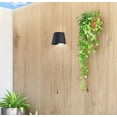 thumbnail image 3 of Access Lighting Bi-Directional Outdoor LED Wall Mount, 3 of 3