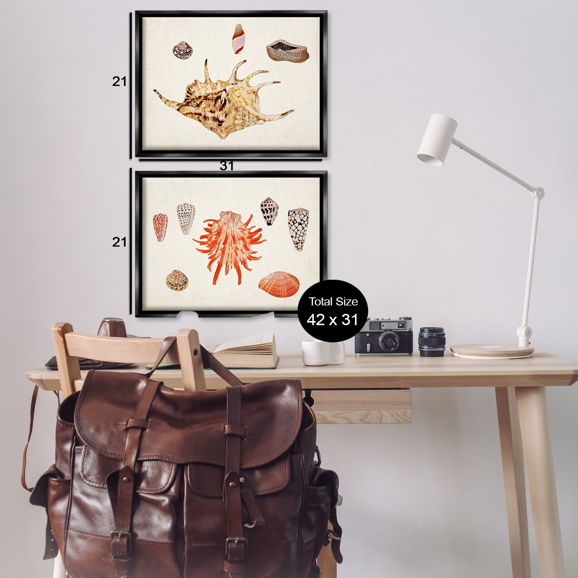 Stupell Industries Antique Shell Anthology Nautical & Beach Painting Black Floater Framed Canvas Art Print Wall Art, 31 x 21, Set of 2