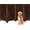 Burnt, variant on The Wooden Town Foldable Indoor Pet Gate , Free-Standing 4-Panel Dog Barrier, 56" W x 28" H, Burnt Finish, Hand-Carved Solid Wood & MDF
