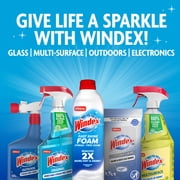Windex Outdoor Concentrated Cleaner, 32 fl oz