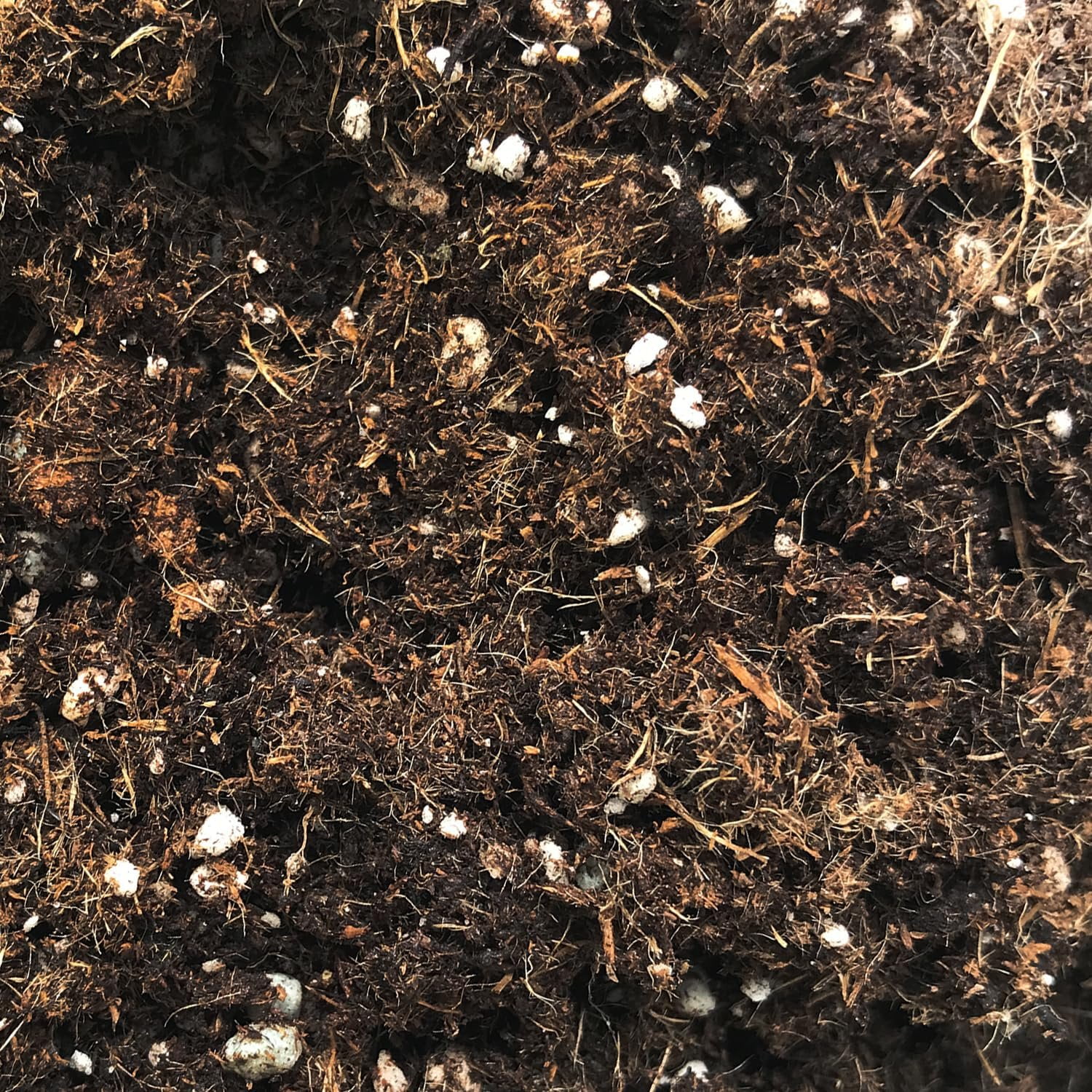Cactus and Succulent Soil Mix  4 Quarts - Custom Soil Blend  Potting Mix for Cacti and Succulents  Specially Developed by and for Professional Nursery Growers - Nutrient-Rich Formula