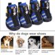 thumbnail image 2 of Billuyoard Zapatos para mascotas Botas deportivas para interiores Malla Transpirable Clásico Algodón Cremallera Calzado para mascotas Ropa para mascotas azul cinco Billuyoard PT000055-10B, 2 of 6