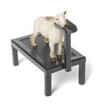 thumbnail image 5 of Little Buster Toys Sheep Fitting Stand - Black, 5 of 5