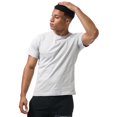 thumbnail image 4 of Men's NICCE Valley T-Shirt in Gray, 4 of 5