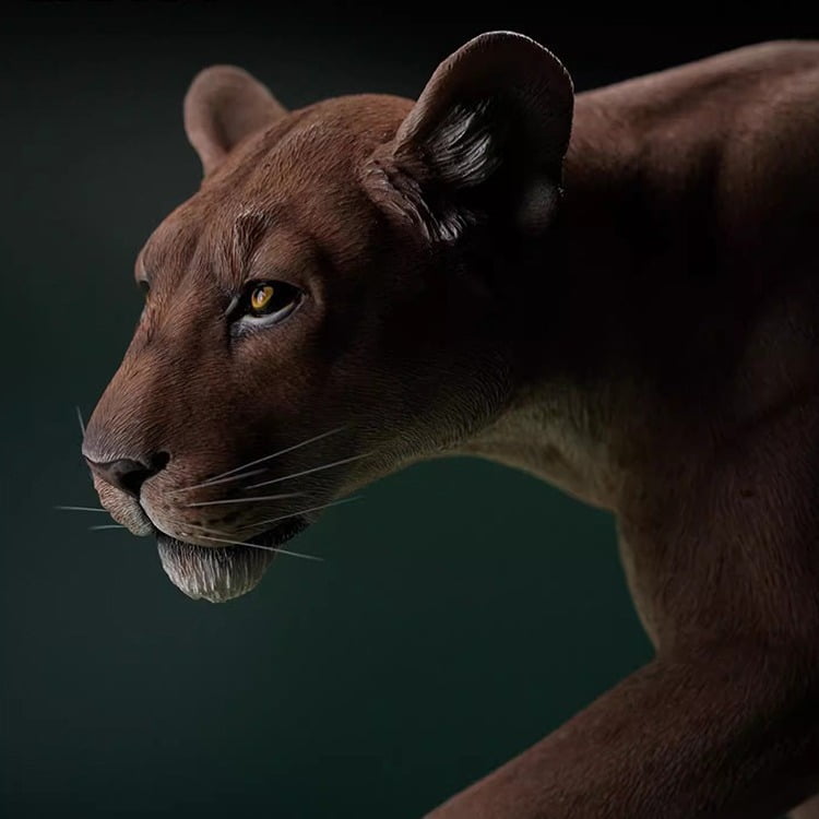JXK 1/6 Female Lion Simulation Fierce Beast Lion Animal JXK 1/6 Female Lion Simulation Fierce Beast Lion Animal