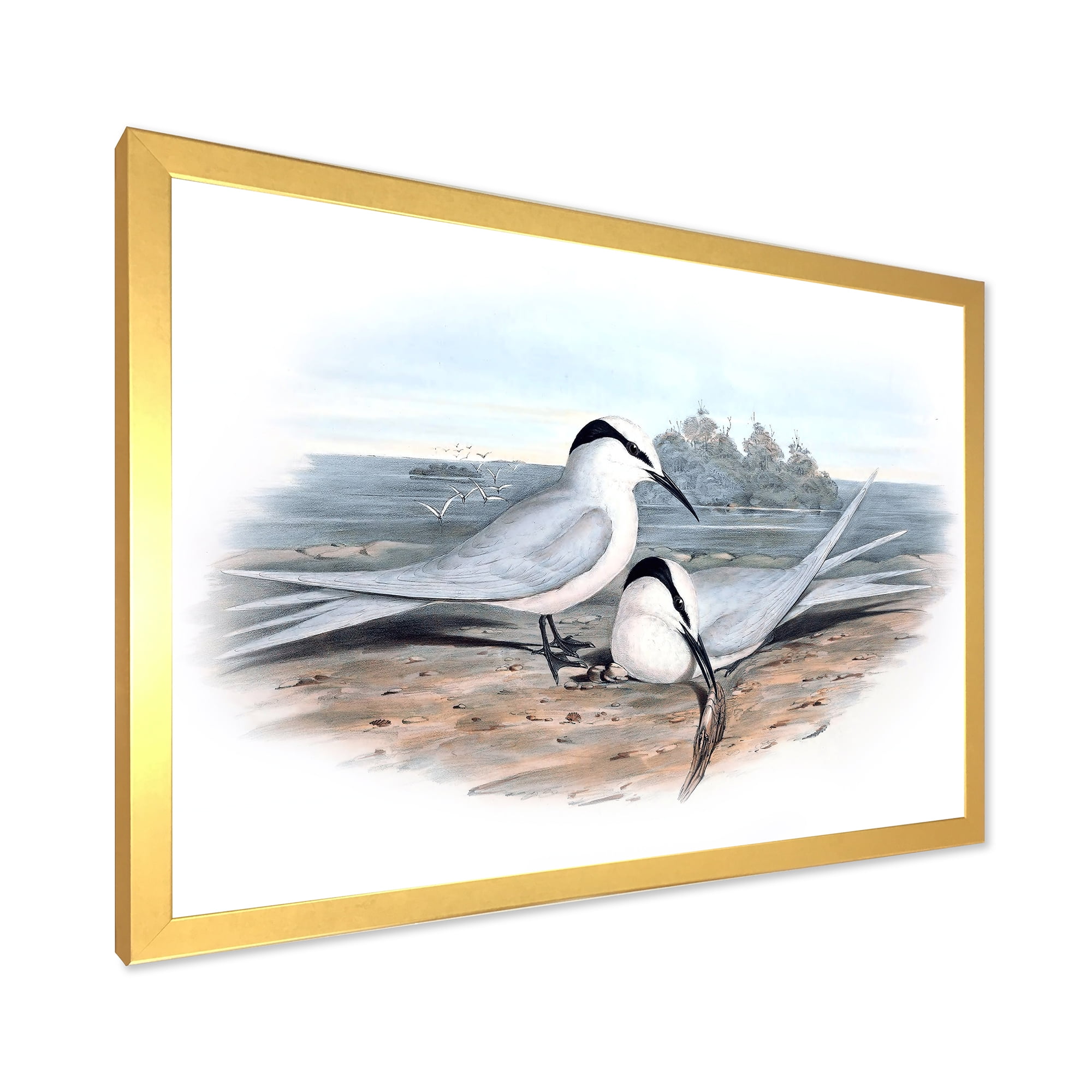 Designart 'Ancient Birds In The Wild IX' Traditional Framed Art Print