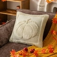 thumbnail image 2 of Autumn Pumpkin Pillow Covers 20 x 20 Inch Fall Decorations Fur Cushion Cases Seasonal Harvest Thanksgiving Decor Soft Plush Throw Pillow Covers for Living Room Bedroom Farmhouse Home Decor, 2 of 5