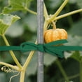 thumbnail image 3 of Attaches de Jardin Flexibles Extensibles Réutilisables avec Sangles Douces pour Grimper Vignes, 3 of 6