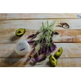 thumbnail image 5 of BeNat - Deodorant Cream. Artisanal, all-Natural (No Aroma), 5 of 7