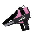 thumbnail image 1 of Arnés de perro personalizado, chaleco de arnés de perro ajustable reflectante para perros pequeños y grandes con parche personalizado, suministros de entrenamiento para perros Tan Jianjun unisex, 1 of 2