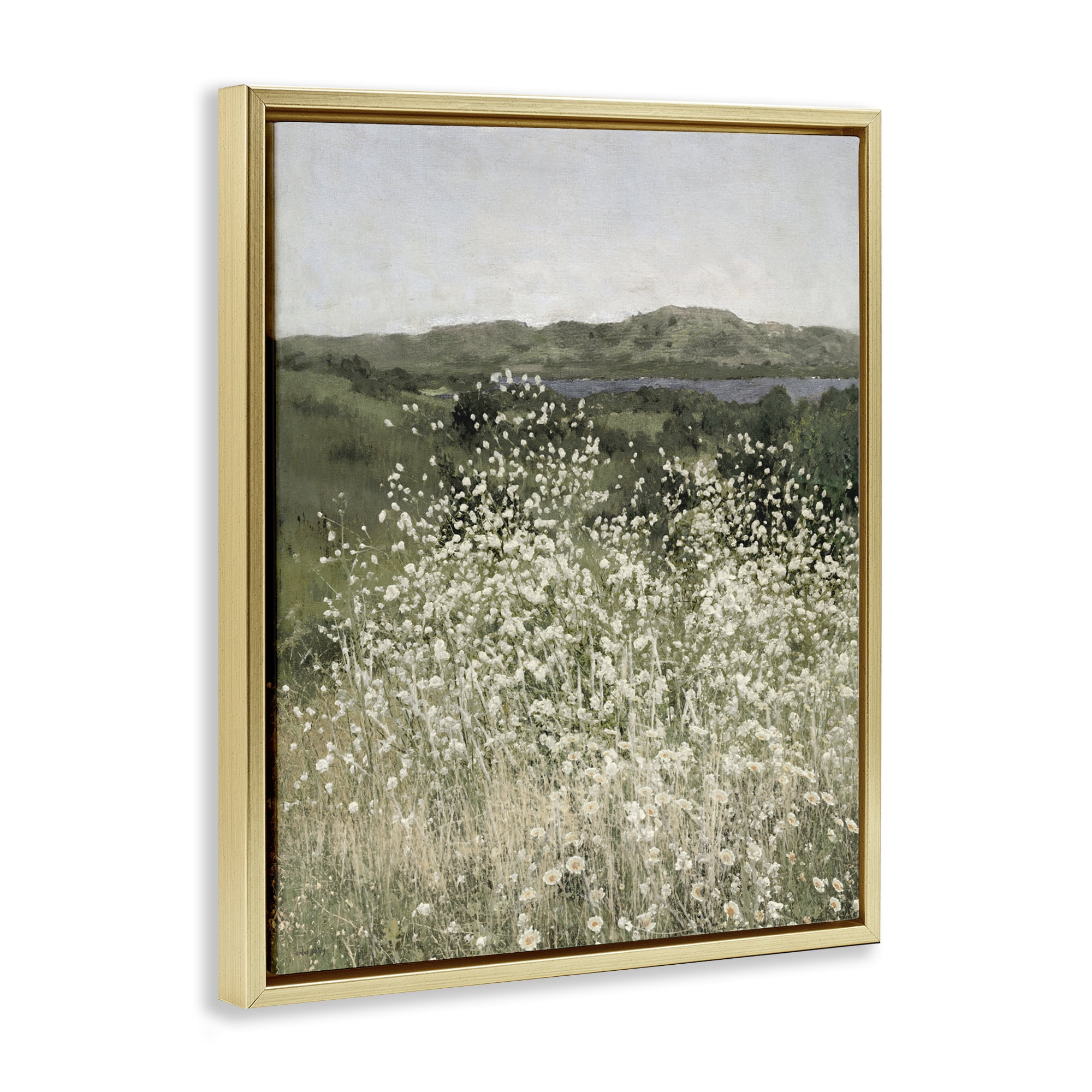 Stupell Industries Sunlit Meadow of White Daisies Gold Framed Floater Canvas Wall Art, design by Amber Sterling