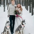 thumbnail image 6 of HQREA Large Medium Dog Tuxedo Suit Formal Pet Wedding Party Suit Puppy Prince Shirt with Bow Tie, 6 of 7