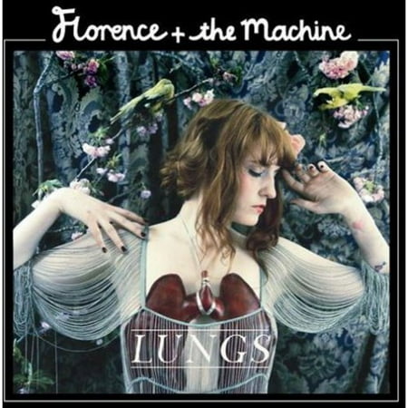 Lungs