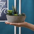 thumbnail image 5 of Artificial Succulent Dark Green Boat Shape, Simulation Plant Art Plant Fake Bonsa, 5 of 5