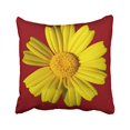 thumbnail image 1 of RYLABLUE Sunny Yellow Chamomile Polyester 18 x 18 Inch Square Throw Pillow Covers With Hidden Zipper Home Sofa Cushion Decorative Pillowcases, 1 of 1
